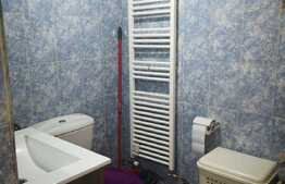 Casa de vanzare de 100 mp, teren 403  mp, 11 ml front, zona linistita!