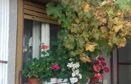 Casa de vanzare de 100 mp, teren 403  mp, 11 ml front, zona linistita!