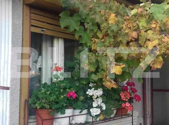 Casa de vânzare 3 camere Dambul Rotund - 28444CV | BLITZ Cluj-Napoca | Poza9