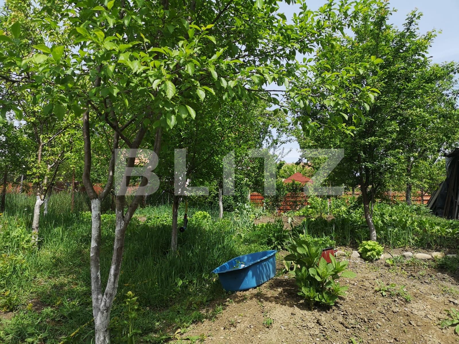 Casa de vânzare 3 camere Dambul Rotund - 28444CV | BLITZ Cluj-Napoca | Poza20