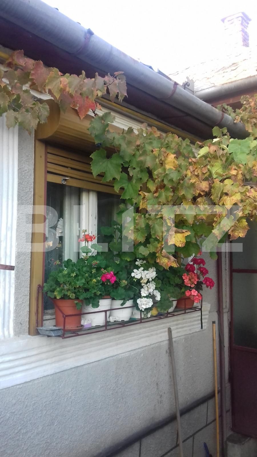 Casa de vânzare 3 camere Dambul Rotund - 28444CV | BLITZ Cluj-Napoca | Poza9