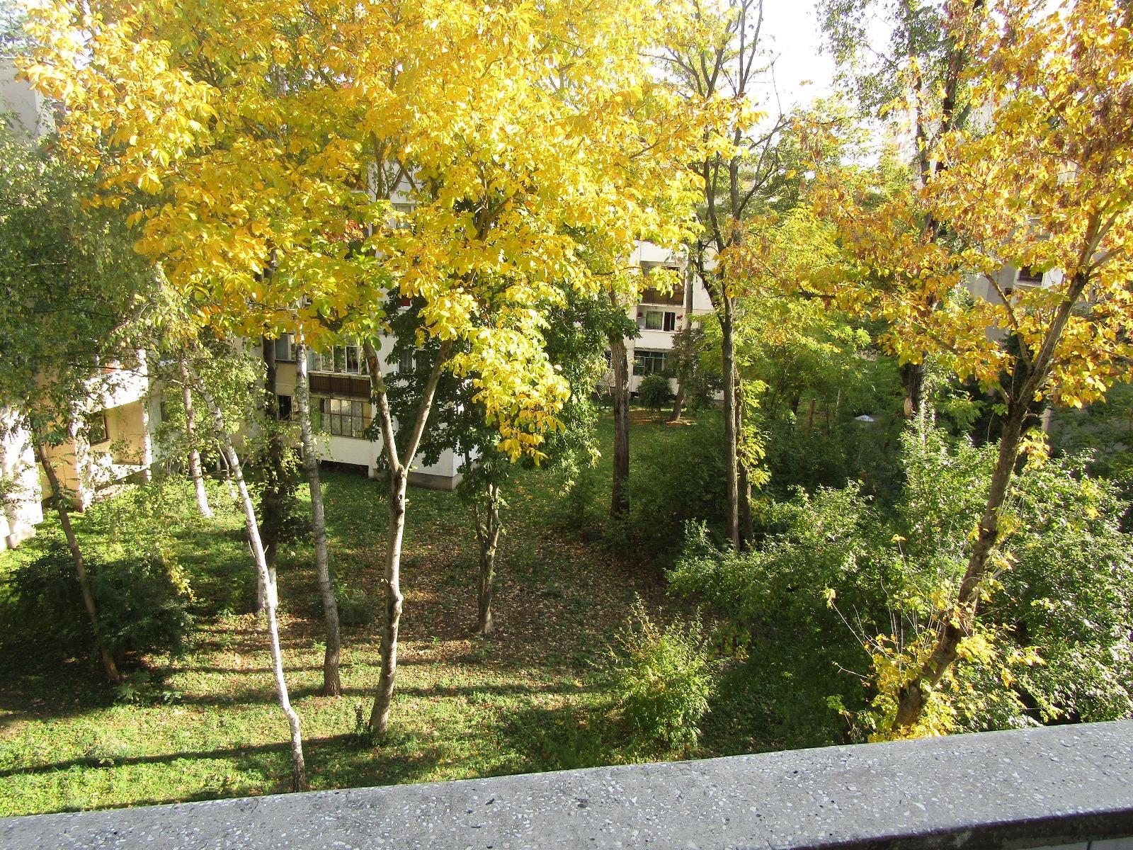 Apartament de vânzare 4 camere Grigorescu - 28446AV | BLITZ Cluj-Napoca | Poza13