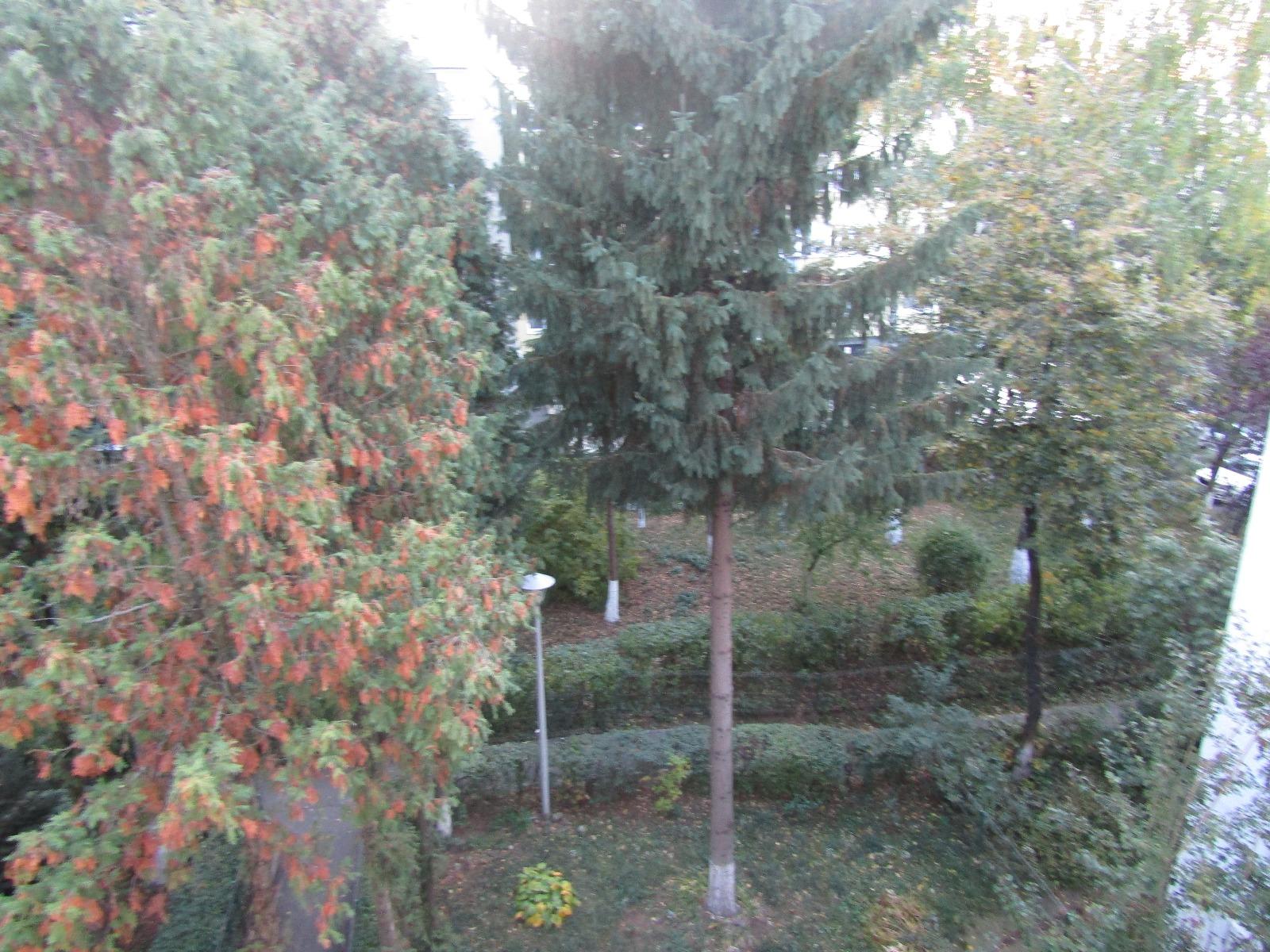 Apartament de vânzare 3 camere Manastur - 28452AV | BLITZ Cluj-Napoca | Poza10