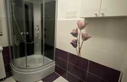 Apartament modern cu 2 camere, 56 mp,  zona Aurel Vlaicu