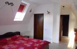 Pensiune in Belis cu preluare a afacerii