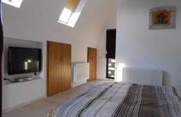 Pensiune in Belis cu preluare a afacerii