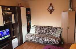 De vanzare garsoniera cu boxa la subsol, 25 mp, zona Parcul Rozelor