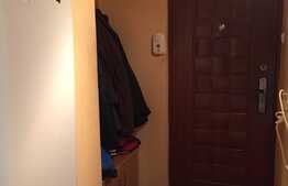 De vanzare garsoniera cu boxa la subsol, 25 mp, zona Parcul Rozelor