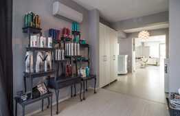 Imobil la cheie cu sau fara preluare de chiriasi