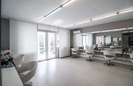 Imobil la cheie cu sau fara preluare de chiriasi