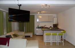 Apartament 1 camera, 58 mp, mobilat modern, zona Autogarii