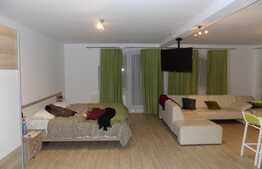 Apartament 1 camera, 58 mp, mobilat modern, zona Autogarii