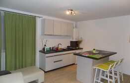 Apartament 1 camera, 58 mp, mobilat modern, zona Autogarii