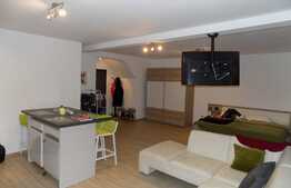 Apartament 1 camera, 58 mp, mobilat modern, zona Autogarii