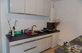 Apartament 1 camera, 58 mp, mobilat modern, zona Autogarii