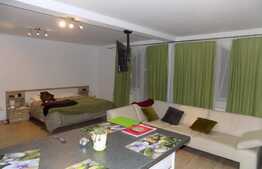 Apartament 1 camera, 58 mp, mobilat modern, zona Autogarii