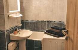 Garsoniera de inchiriat, 28 mp, zona Teatrului National