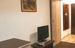 Garsoniera de inchiriat, 28 mp, zona Teatrului National