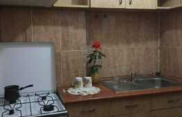 Garsoniera de inchiriat, 28 mp, zona Teatrului National