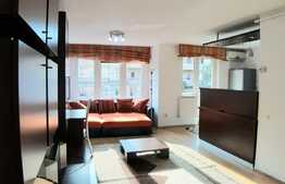 1 camera, 45 mp utili, imobil nou, mobilat modern, A.C., zona Interservisan!