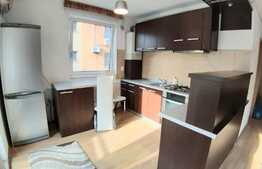 1 camera, 45 mp utili, imobil nou, mobilat modern, A.C., zona Interservisan!