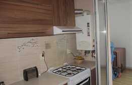 Apartament 2 camere, 56 mp, terasa de 17 mp! Zona strazii Porii!