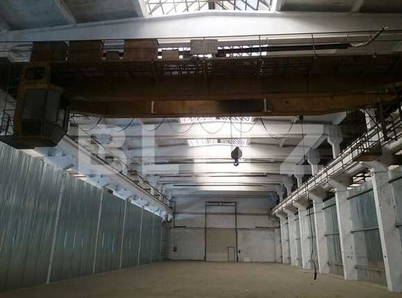 Spațiu industrial de închiriat Dambul Rotund - 28527SII | BLITZ Cluj-Napoca | Poza4