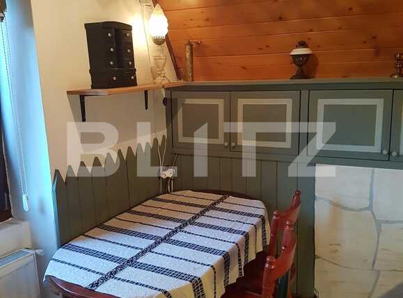 Casa de închiriat 5 camere Gruia - 28533CI | BLITZ Cluj-Napoca | Poza9