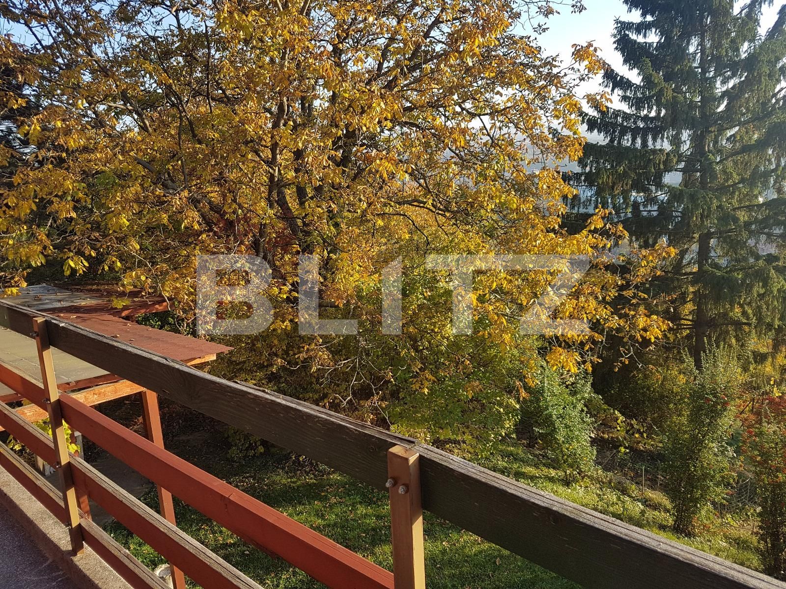 Casa de închiriat 5 camere Gruia - 28533CI | BLITZ Cluj-Napoca | Poza13