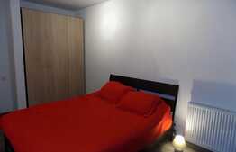 Apartament 2 camere, 62 mp, prima inchiriere, imobil nou, zona Platinia 