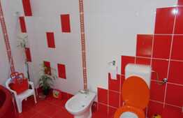 Casa individuala de vanzare 273 mp utili, 670 mp teren, zona Piata Cipariu