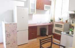 Apartament 2 camere, 50 mp, terasa 40 mp, zona strazii Migdalului