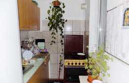 Apartament 2 camere, 30 mp, zona strazii Alverna