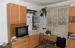 Apartament 2 camere, 30 mp, zona strazii Alverna