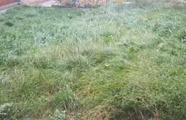 Oportunitate ! Triplex de vanzare, 80 mp utili, teren 45 mp, Zona Eroilor ! 