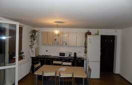 Apartament de vanzare, 2 camere, 58 mp, pod de 30 mp, zona strazii Sesul de Sus