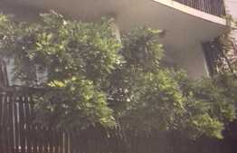 Casa individuala 487,45 mp utili, teren de 500 mp, zona accesibila