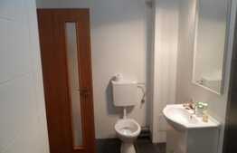 Apartament 2 camere, 46 mp, gradina! Zona Muzeul Apei! Loc de parcare!