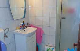 Vanzare apartament 2 camere, 26 mp, zona Expo Transilvania