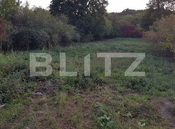Teren de vânzare Manastur - 28626TV | BLITZ Cluj-Napoca | Poza2