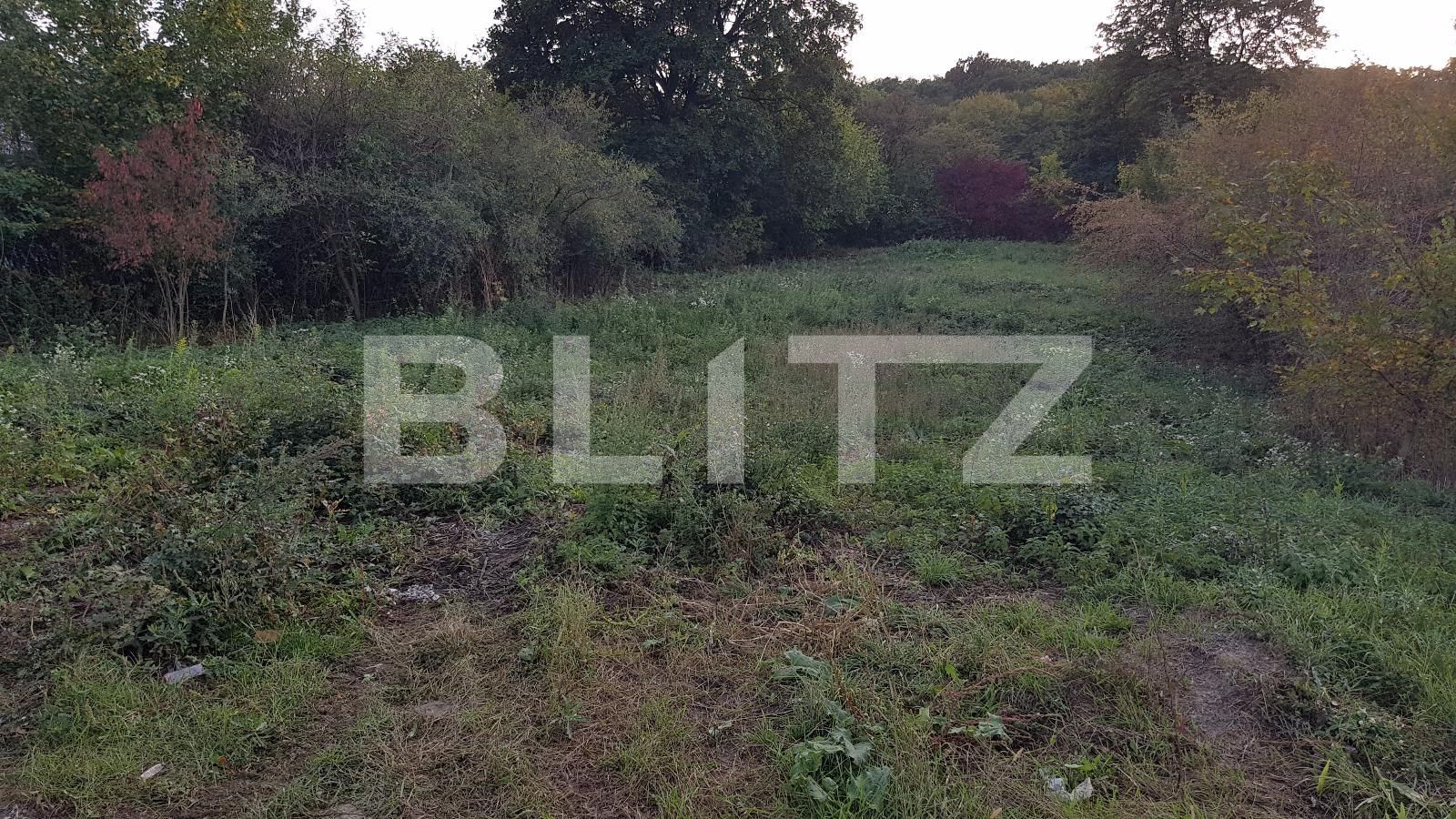 Teren de vânzare Manastur - 28626TV | BLITZ Cluj-Napoca | Poza2