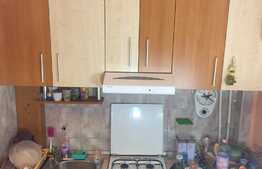 Garsoniera de vanzare, 32 mp, etaj intermediar, boxa, zona Minerva