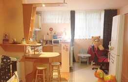 Garsoniera de vanzare, 32 mp, etaj intermediar, boxa, zona Minerva