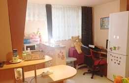 Garsoniera de vanzare, 32 mp, etaj intermediar, boxa, zona Minerva