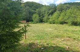 Teren extravilan 3000 mp, front stradal 23 ml, zona cu multa verdeata