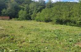 Teren extravilan 3000 mp, front stradal 23 ml, zona cu multa verdeata