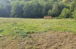 Teren extravilan 3000 mp, front stradal 23 ml, zona cu multa verdeata