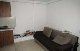 De vanzare garsoniera, 29 mp, zona Camine Studentesti