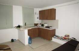 De vanzare garsoniera, 29 mp, zona Camine Studentesti