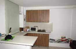 De vanzare garsoniera, 29 mp, zona Camine Studentesti